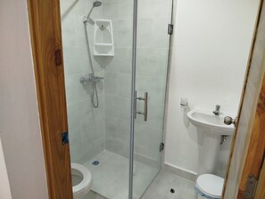 Shower, towels, toilet paper
