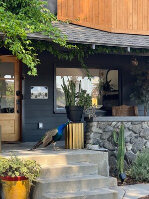 Exterior detail - Charming 1-bedroom house with WiFi and AC in Pomona (Pomona)