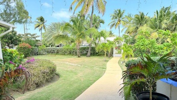 Un sentier qui traverse un jardin tropical, bordé de palmiers et de différentes espèces de plantes.