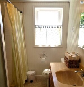 Asciugacapelli, asciugamani, sapone, carta igienica