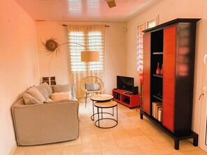 Smart TV, DVD player, books, stereo