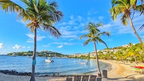 Una playa con palmeras, una orilla arenosa y vista a barcos en el agua.