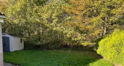 HVD153 (4/H) Putter Recreational home at forest edge