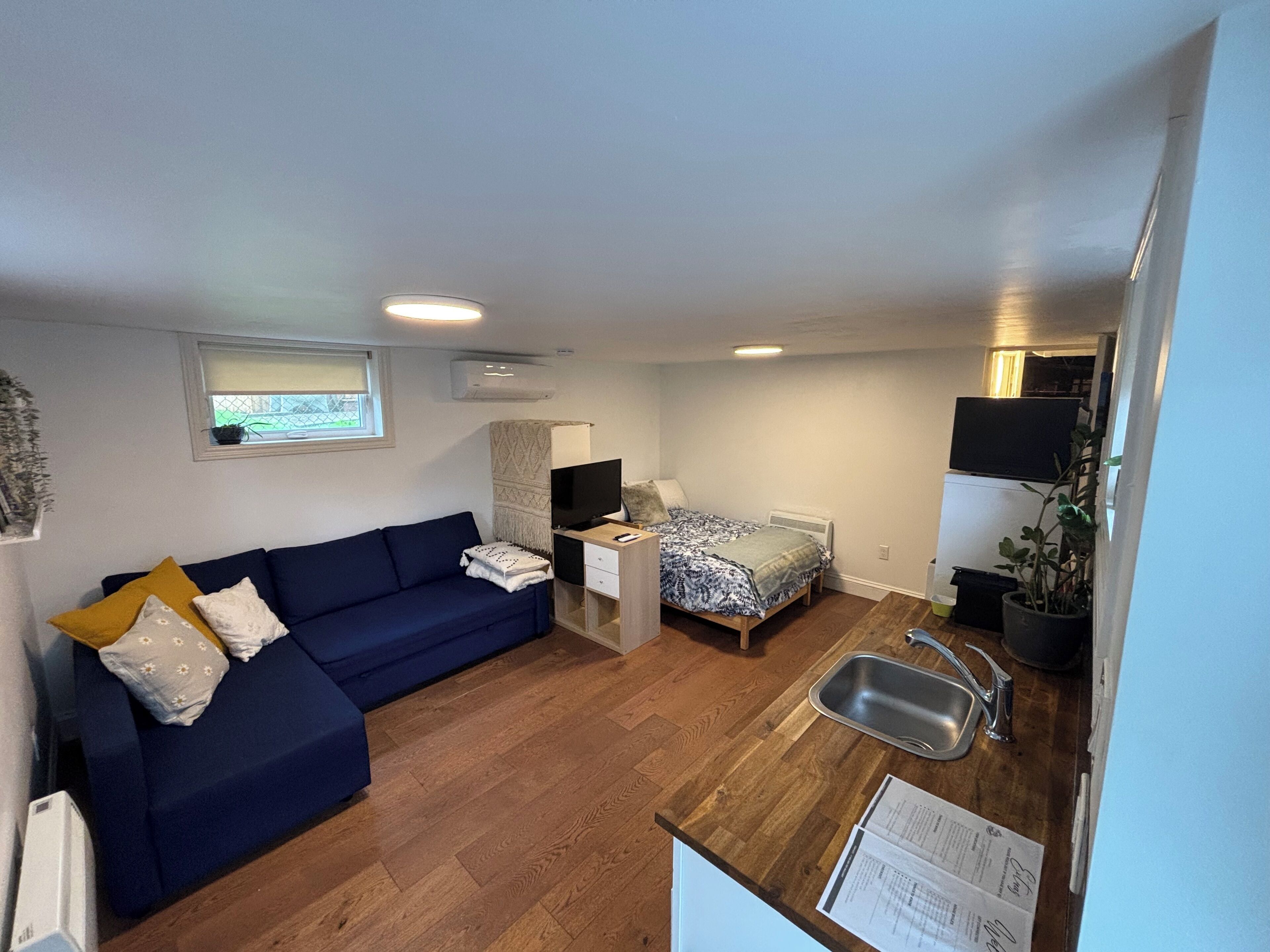 تلفزيون ذكي، كُتُب