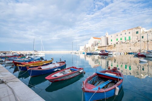 Elisa - Inside a 500 years old tower
