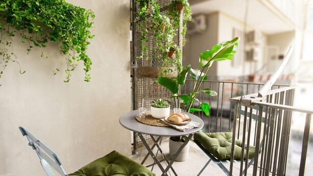A balcony with a small table, chairs, and potted plants. - Floris - Sophisticated Studio (Bari)