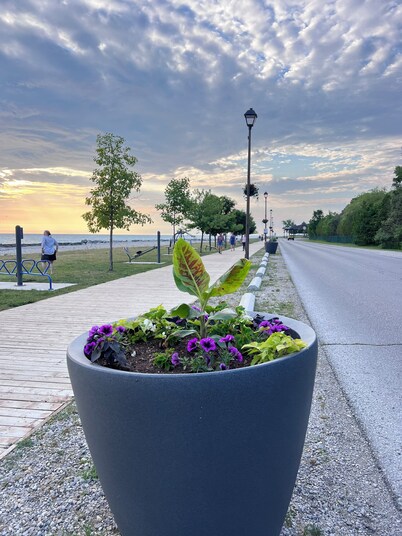 Welcome to the Granary