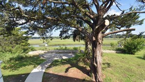 A tree-lined pathway leading to a body of water, with a grassy area and a small pond in the background. - Cypress Cottage - Marshfront in Garden City Beach! (Garden City Beach)
