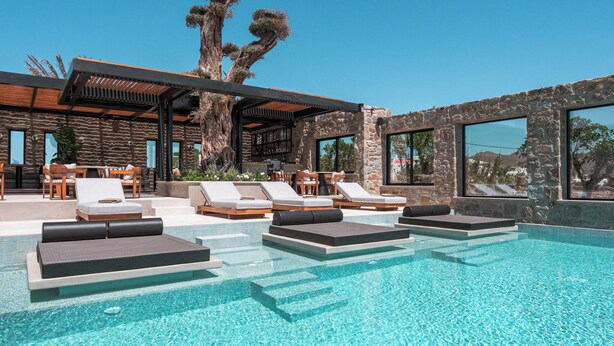 A modern outdoor pool area with lounge chairs and a large tree. - Noir Mykonos (Mykonos)