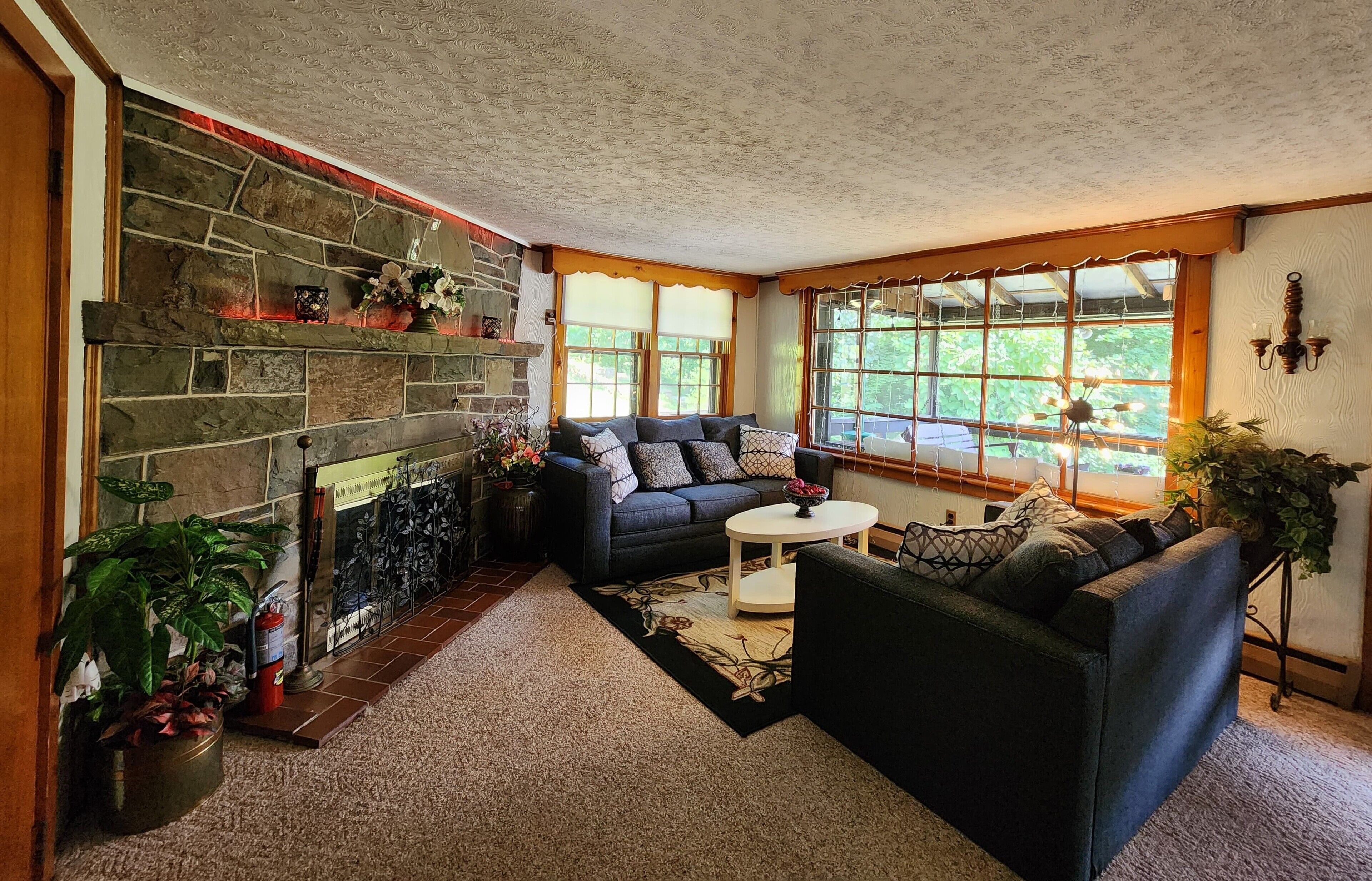 Televisor intel·ligent, llar de foc i taula de tennis de taula 