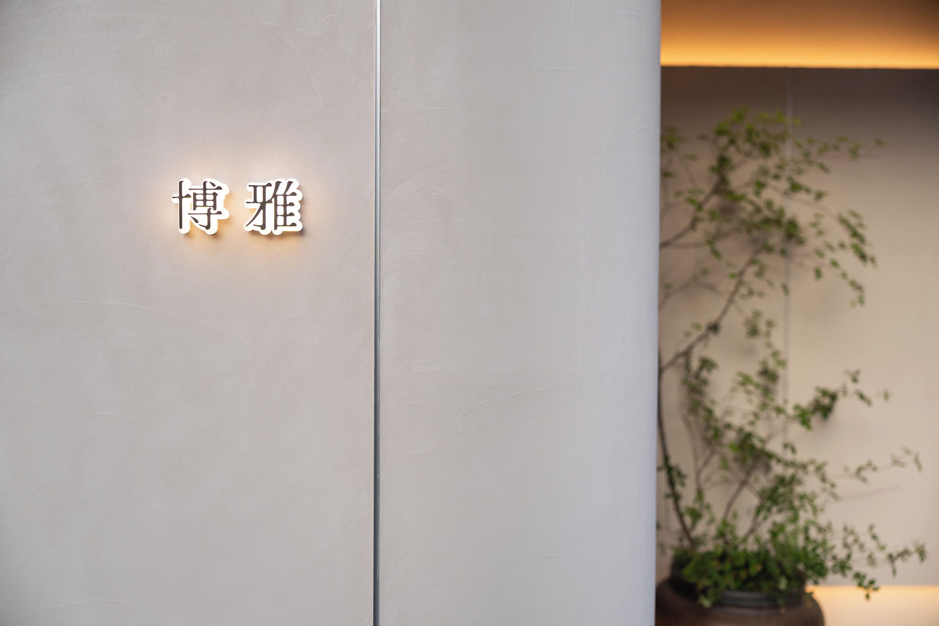 A wall with illuminated text and a potted plant.
