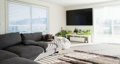 Premium Accommodation in Dunedin lies between Dunedin city and Airport.