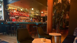 A bar area with multiple seating options including bar stools and a sofa, a bar counter with various bottles, and a large plant in the corner.