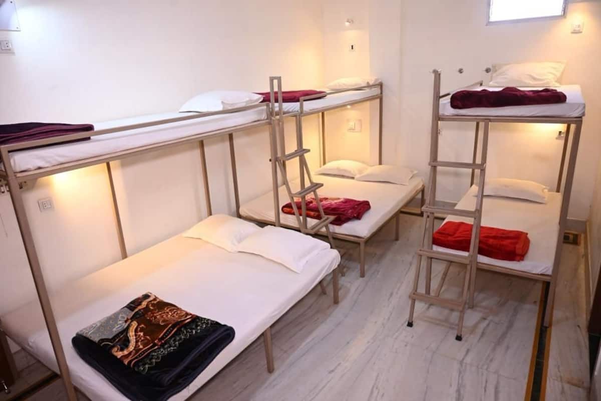 A dormitory room with bunk beds, a ladder, and a window.
