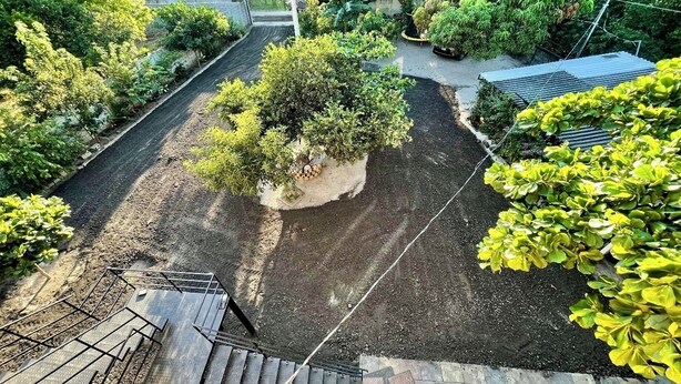 An aerial view of a garden with a central tree, surrounded by various plants and a paved area.