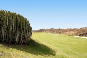 A golf course with a cactus on the left and a clear sky. - Vista Golf 30 Salobre by VillaGranCanaria (Comarca Sur)