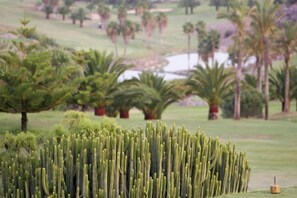 A cactus garden with a variety of plants and a small pond in the background. - Vista Golf 30 Salobre by VillaGranCanaria (Comarca Sur)