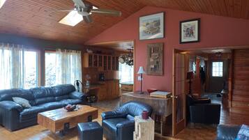 TV connectée, cheminée, jeux vidéo, lecteur de DVD