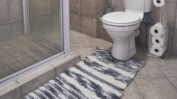 Shower, towels, toilet paper