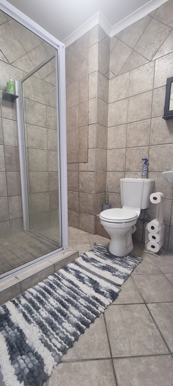 A bathroom with a shower, toilet, and a rug.
