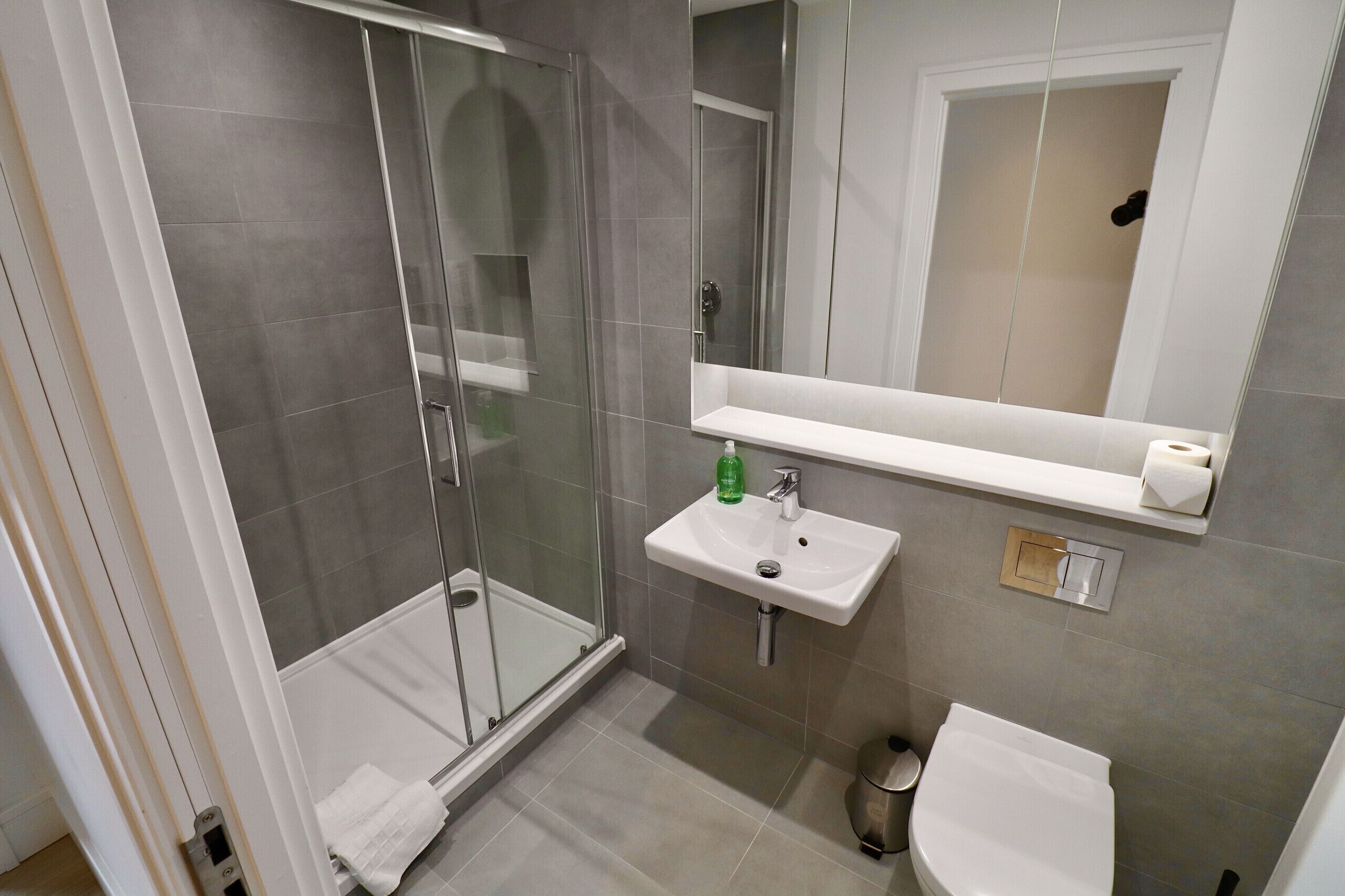 Shower, hair dryer, towels