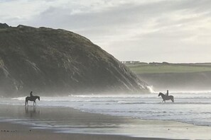 Beach - Swn y Môr - 1 Bedroom Cottage - Whitesands (Saint David's and the Cathedral Close)