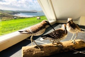 Three birds on a wooden log by a window overlooking a green landscape. - Swn y Môr - 1 Bedroom Cottage - Whitesands (Saint David's and the Cathedral Close)