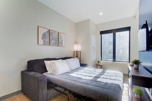 1 bedroom, desk, iron/ironing board, WiFi - Designer Studio | Cleveland Clinic | Free Garage (Cleveland)