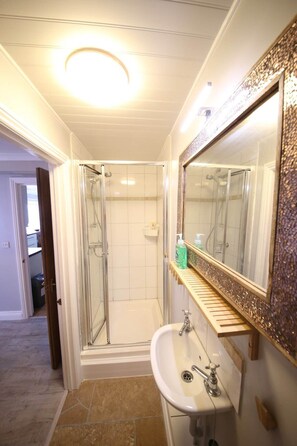 Shower, hair dryer