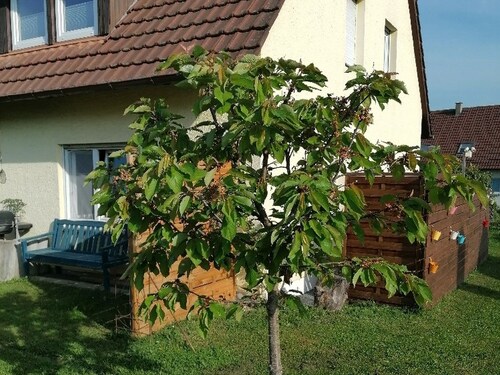 Apartment 'Kirsch-kern' with Balcony and Wi-Fi