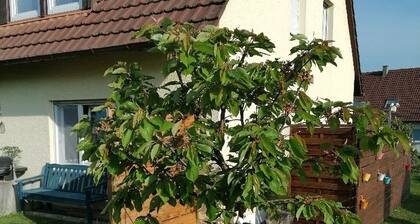 Apartment 'Kirsch-kern' with Balcony and Wi-Fi