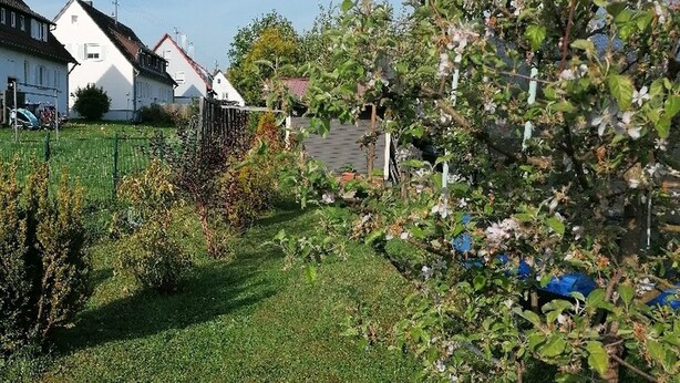 A residential area with houses, a grassy lawn, and a garden with flowering plants. - Apartment 'Kirsch-kern' with Balcony and Wi-Fi (Mössingen)