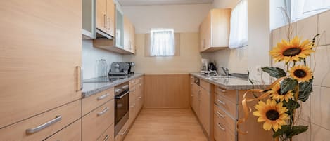 Fridge, oven, stovetop, dishwasher