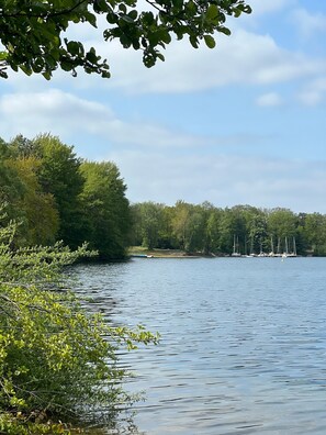 Un lac paisible, bordé d’arbres et où l’on peut voir des voiliers.