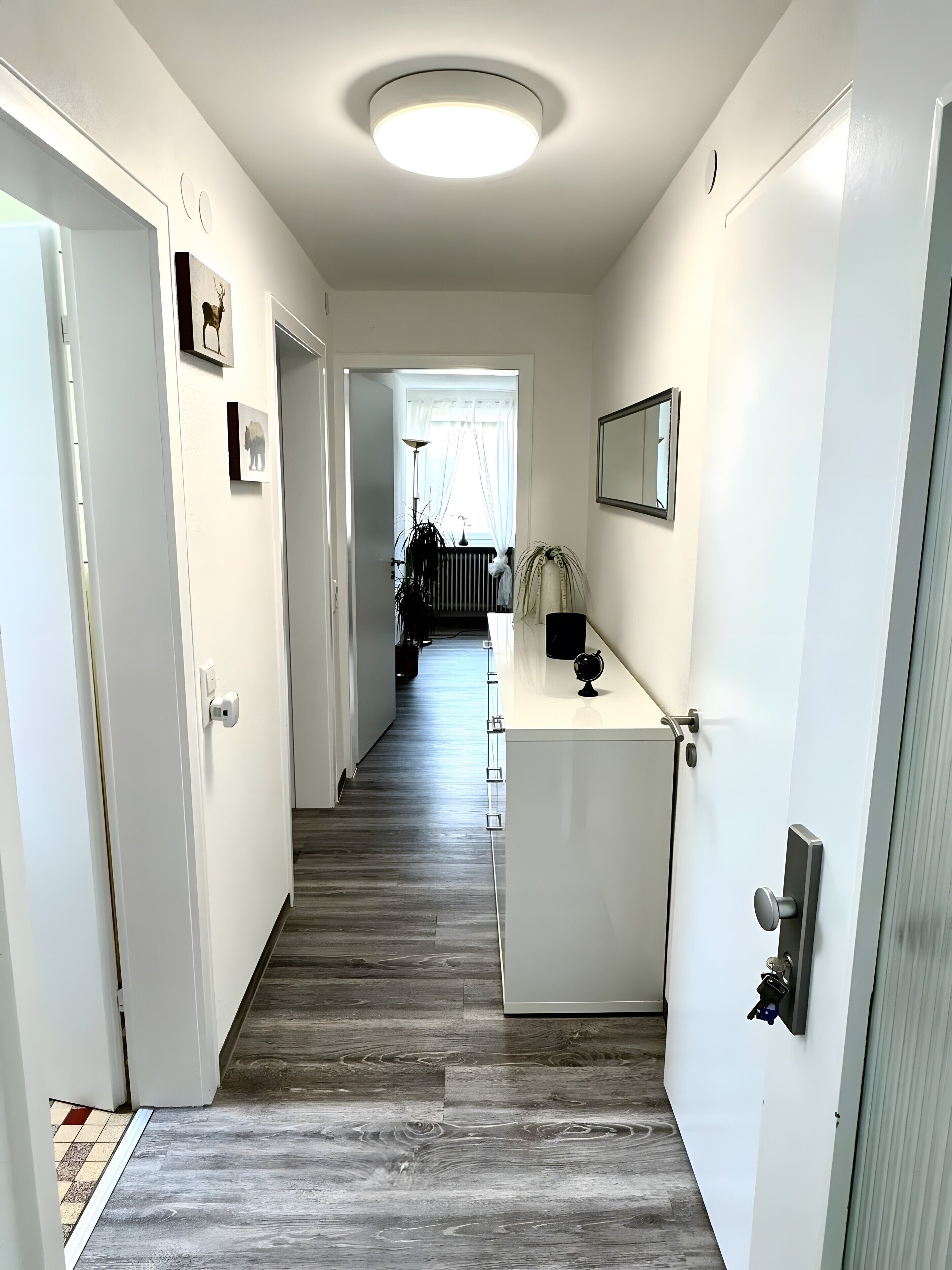 Un couloir avec un plancher en bois, des murs blancs, un luminaire au plafond et une porte sur le côté droit.