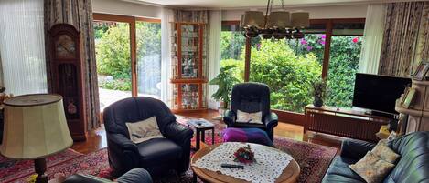 TV connectée, cheminée