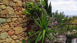 Un muro de piedra con macetas y una placa metálica en el suelo.