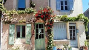 Un edificio con puerta verde, contraventanas azules y plantas en macetas.