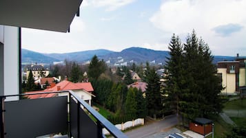 Apartment (13) | View from room