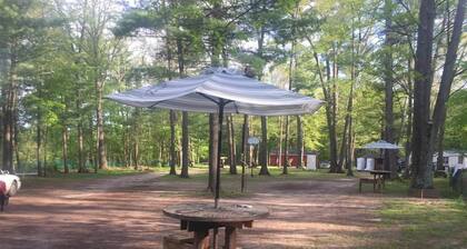 Beautiful campground on the pine river in Vestaburg for a peaceful getaway