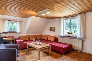 Smart TV, DVD player, books - Black Forest House Zwink (Enzklösterle)