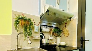 Eine Küche mit Spüle, Herd, Schränken und hängenden Pflanzen.