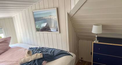 Higly Rated Superhost in Citycenter