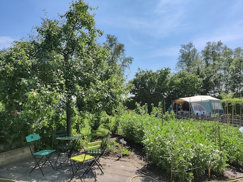 Holiday Home in Friesland With Greenhouse Charm