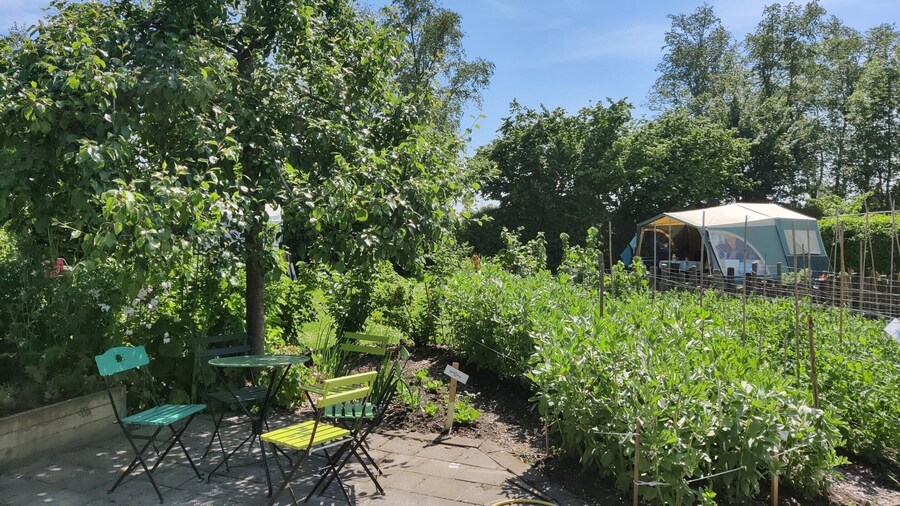 Holiday Home in Friesland With Greenhouse Charm
