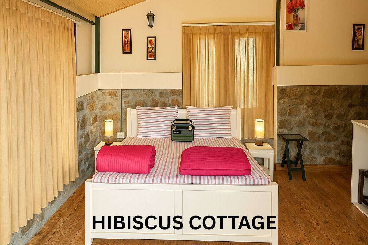 Basic Cottage, Balcony, Mountain View | 1 bilik tidur, meja, seterika/papan seterika, Wi-fi percuma