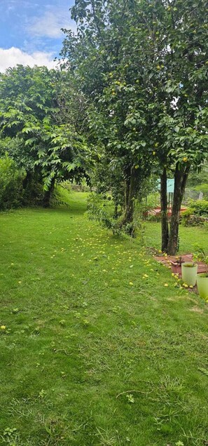 Vista para o jardim