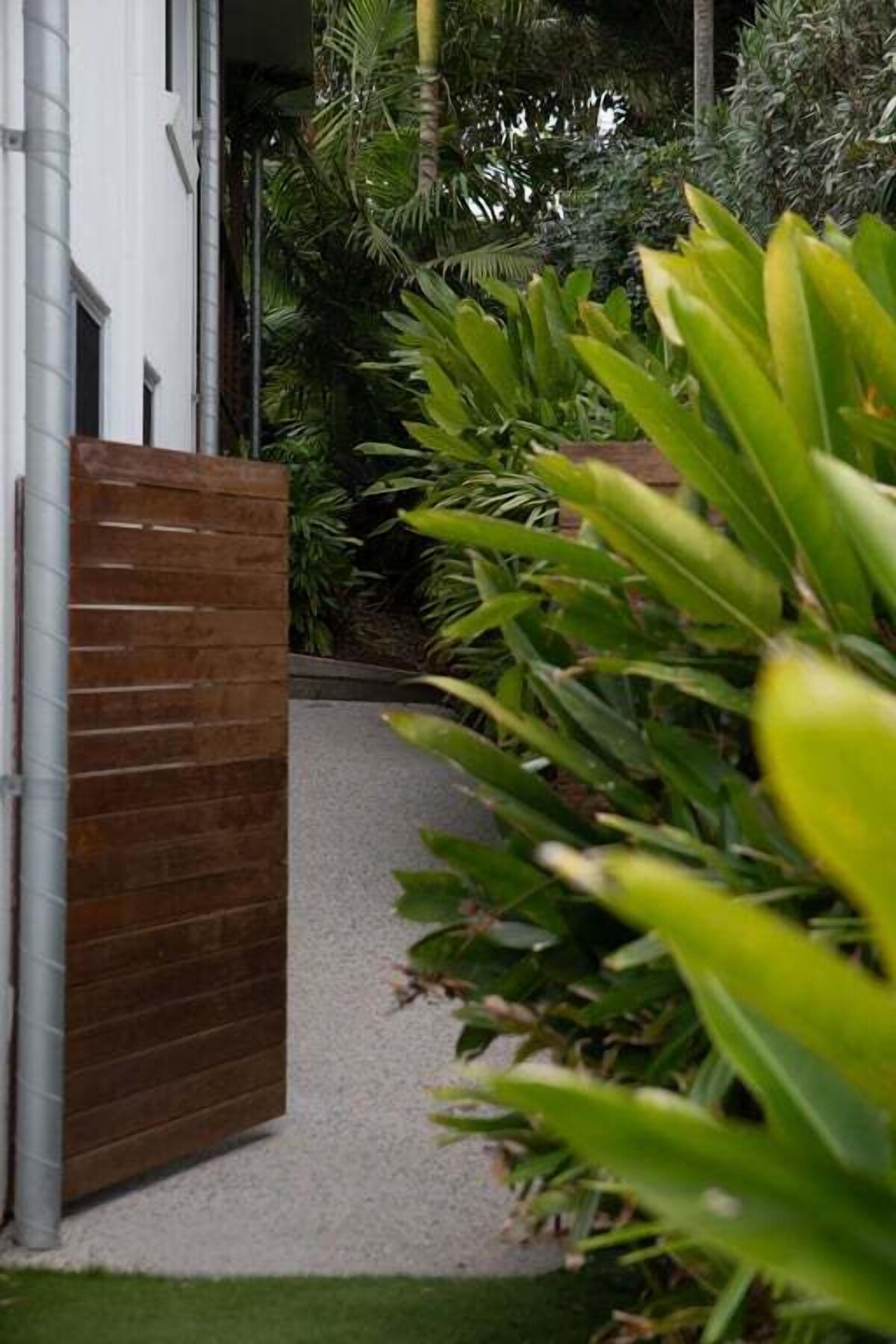 Imagem do perfil do anfitrião