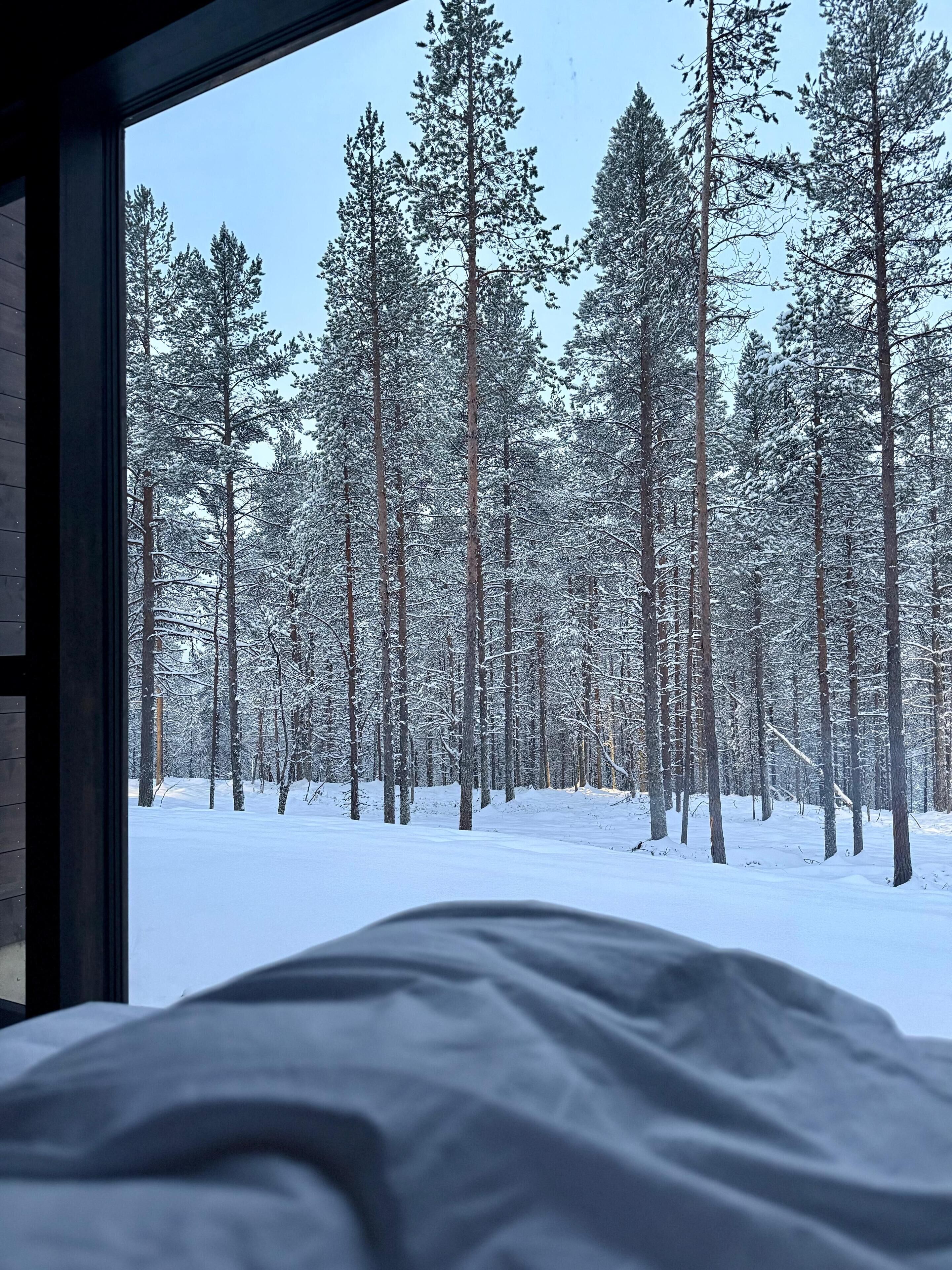 Ett sovrum med ett stort fönster med utsikt över en snötäckt skog.