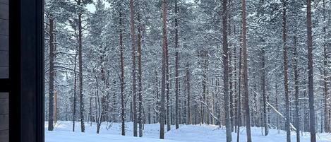 Ett sovrum med ett stort fönster med utsikt över en snötäckt skog.